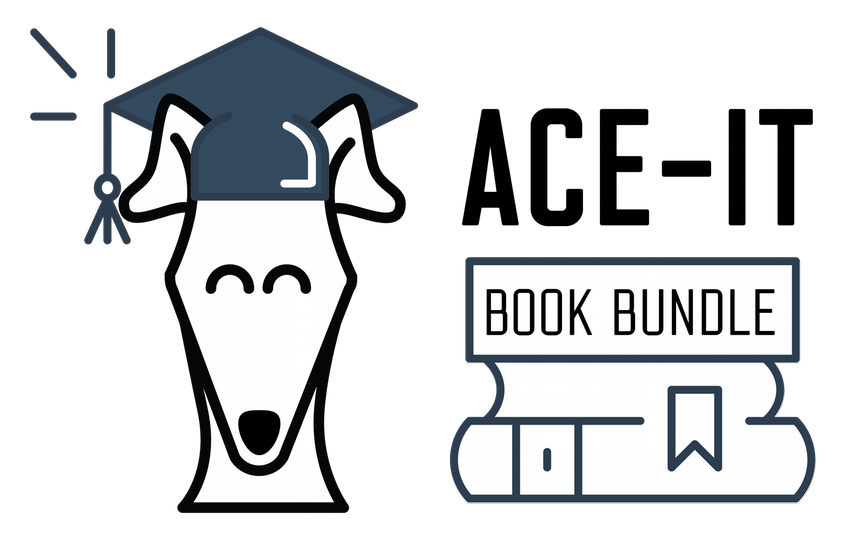 Ace illustration with words Ace-It Book Bundle