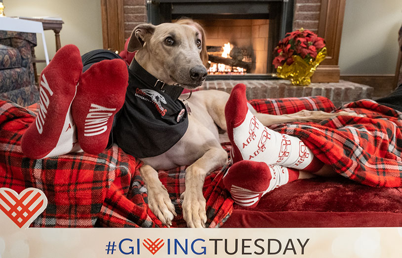 Grady the Greyhound posing in front of a fireplace with students wearing UIndy socks
