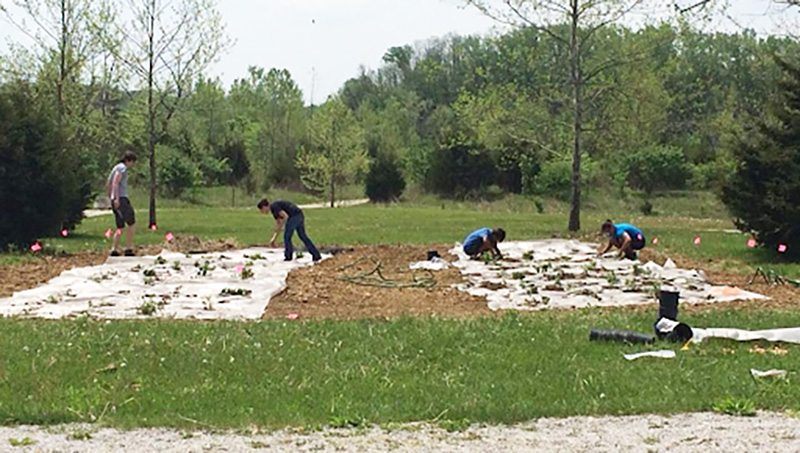 students working in the field