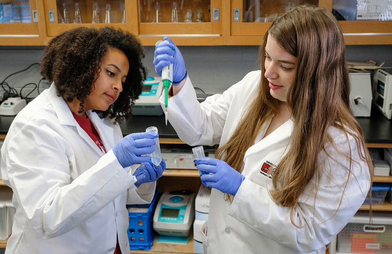 biology students working in a lab
