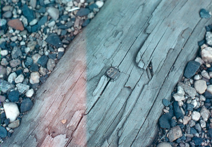 nail head with number 81