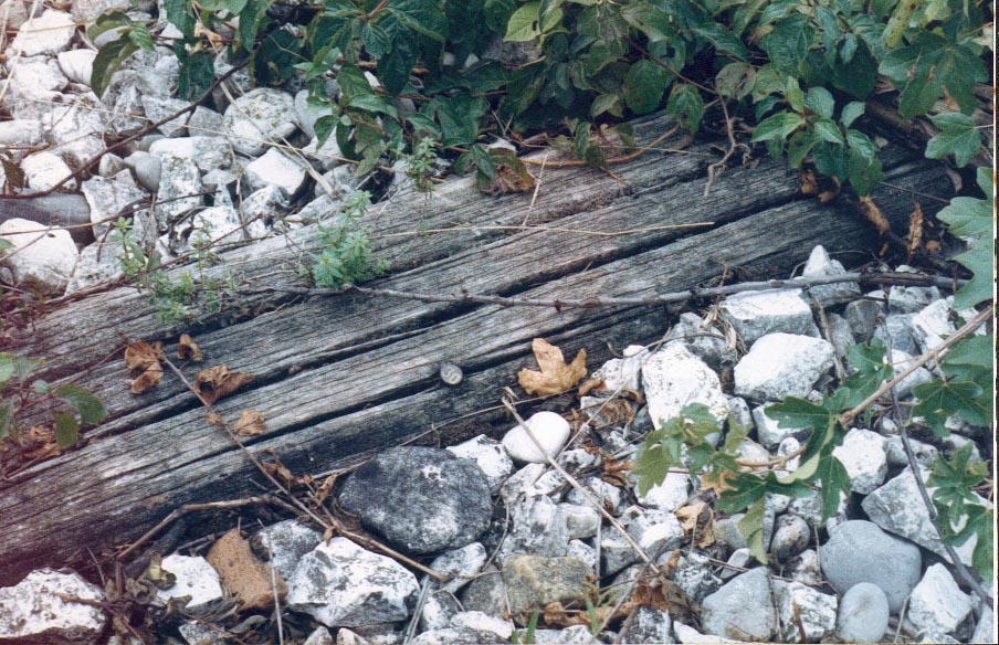 nail head with number 30