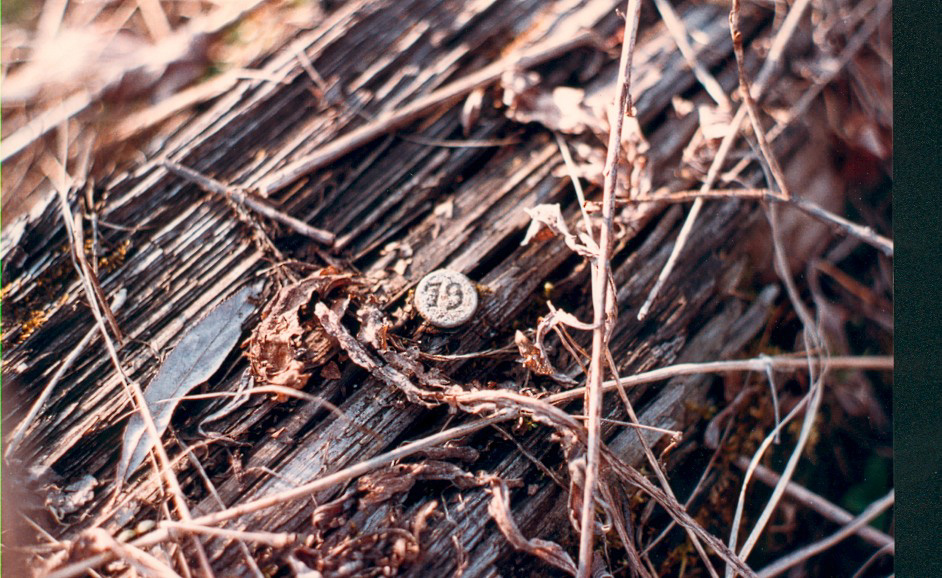 19 in a discarded tie