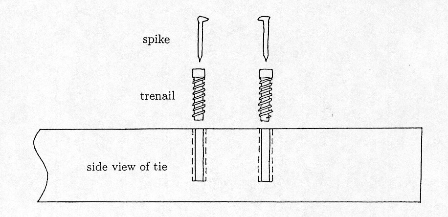 My drawing of how the trenail (trheaded dowel) is applied