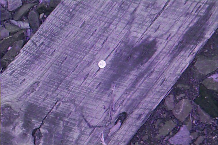 nail head with number 92