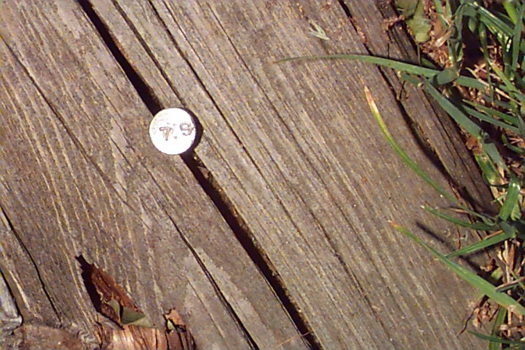 nail head with number 79