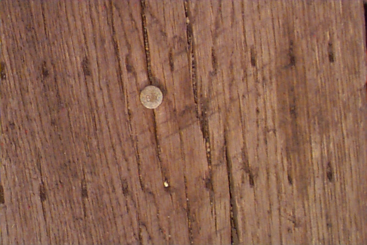 nail head with number 83