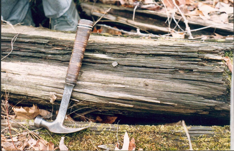 a 1914 date nail in a tie