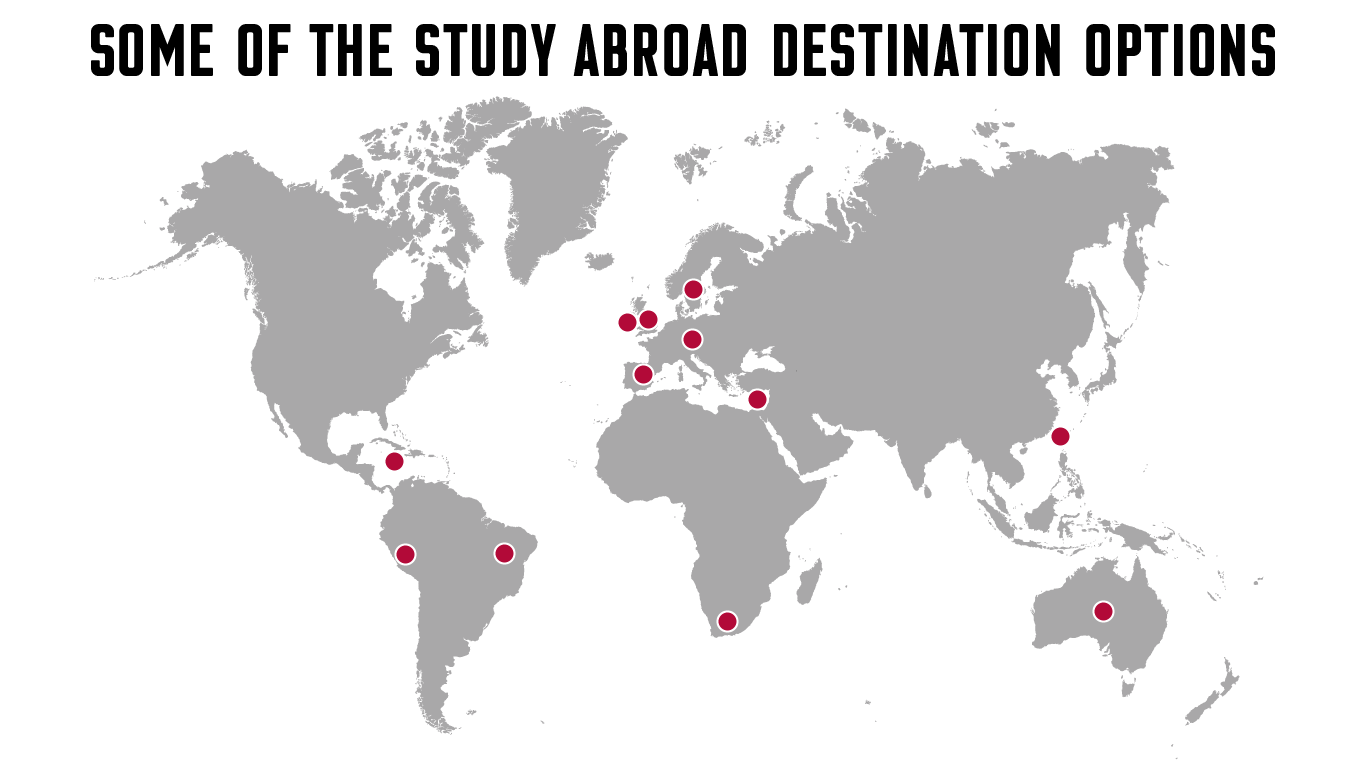world map with markers on some of the study abroad destination options