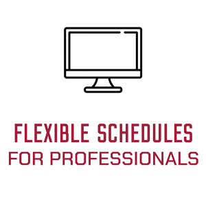 Flexible Schedules for Professionals