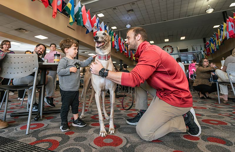 child and man petting Grady the Greyhound