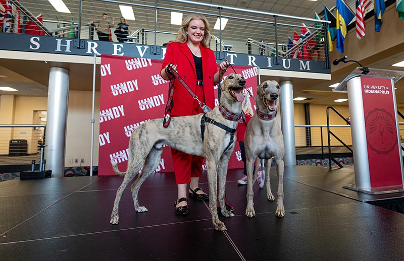smiling woman with two greyhounds on leashes