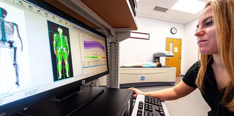 student on the computer looking at human x-ray images