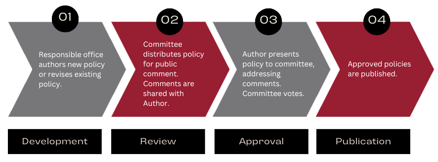 Process diagram summarizing each step in order: development, review, approval, and publication