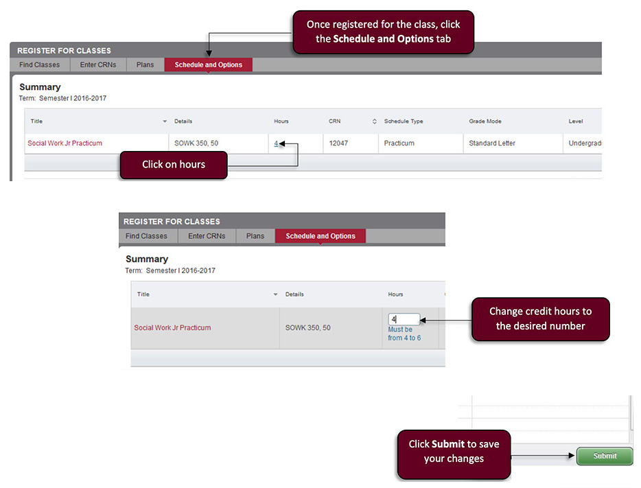 screenshot of Schedule and Options tab with instructions
